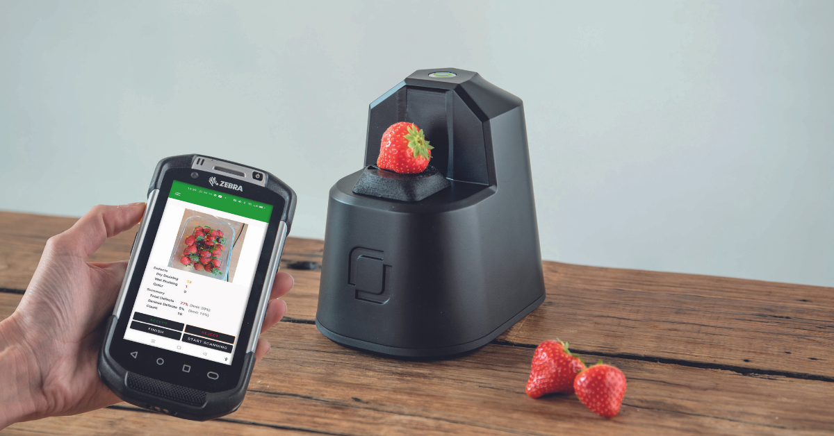 Feature image for OneThird founder story. Image: demonstration of ripeness checker for strawberries